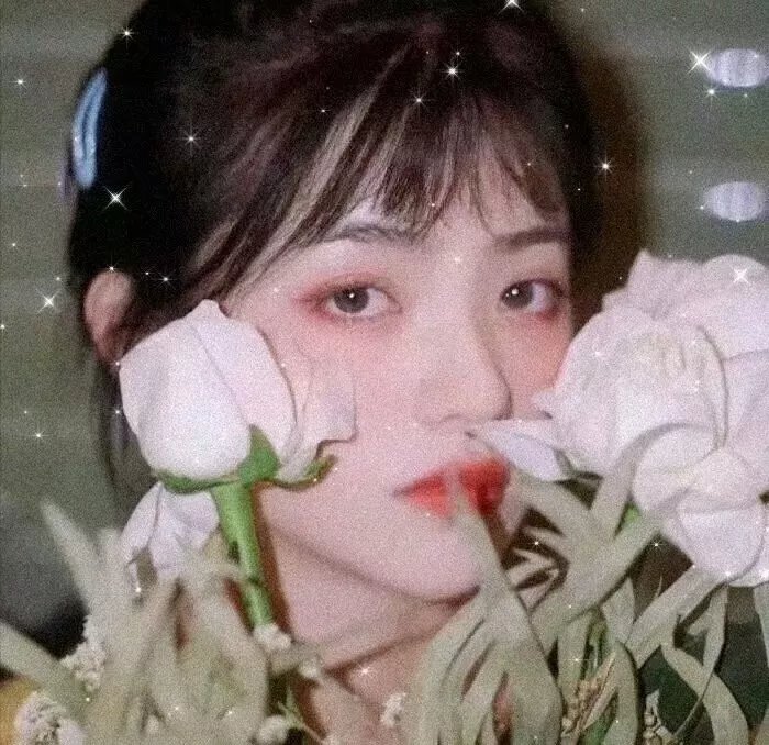 心动的信号第七季